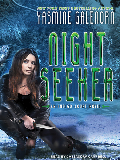Cover image for Night Seeker